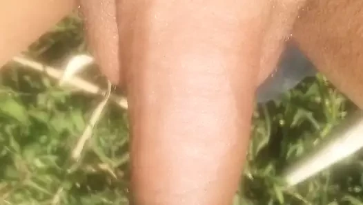 Ilcazzopermary