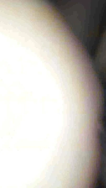 Dama 42
