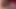 My Perogative PMV