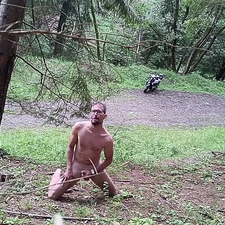 Wild Slovak Nature