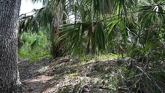 Видео на весь день