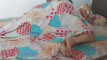 Pregled videozapisa
