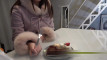 Pratonton Video