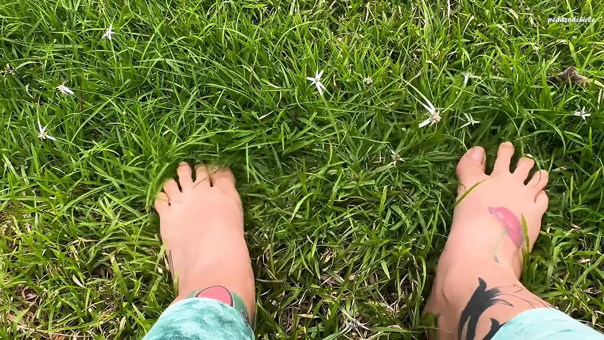 I Let You See My Feet Rubbing and Pressing Against the Grass