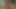 Norah nova, pov amatör 2