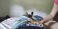 Video preview