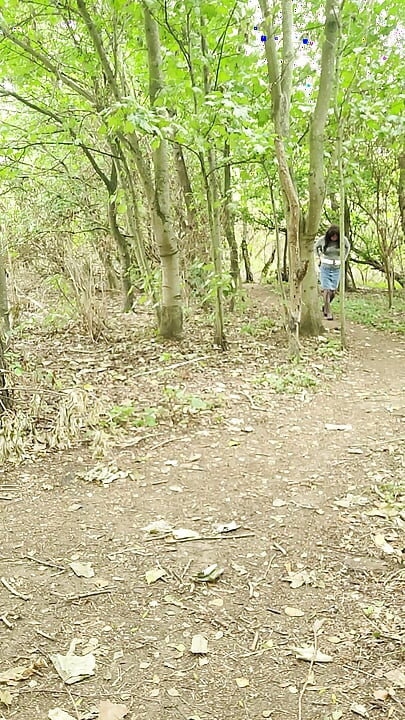A short walk in the woods and a part strip