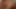 Interracial BBW Ms Twilight