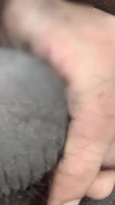 Sali na gand mar kar hol bada kar diya Jija na hindi | Clip 1