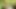 Horny in Forest
