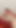 Twinks 60cm Toys in Asshole Pee and Cum Too Much