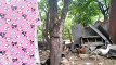 Pratonton Video