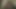 Sri lankan Blowjob