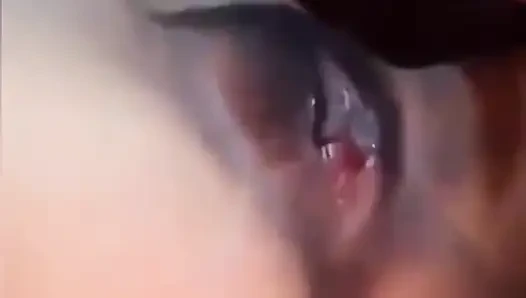 Pussy Linking