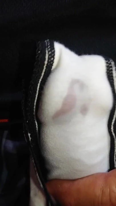 pre cum Brother-in-law's panty