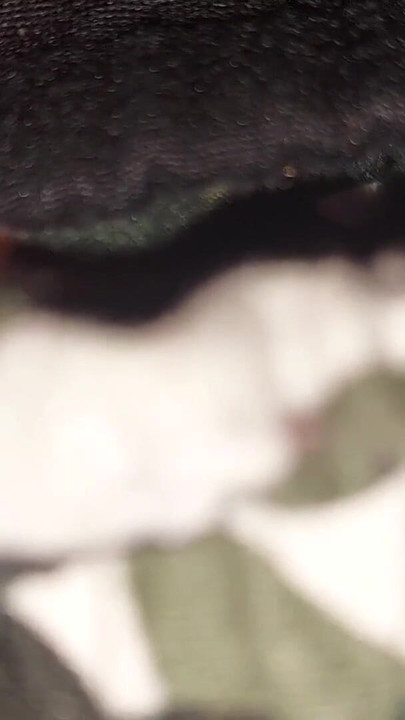 Fingering pussy with pants  female masturbation | Clip 1