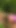 Jaw-dropping moment from "Junge Maedels verstecken sich im hohen Mais um zu spielen"
