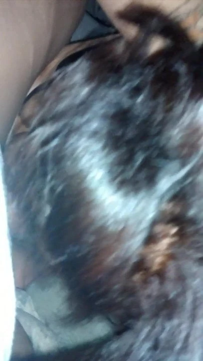 Redbone sloppy head