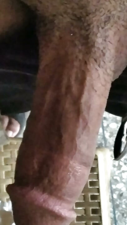 ngửi con cặc tao con điếm