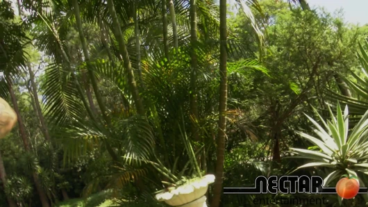 Vinny Burgos Fucks His Mother-in-law in the Garden! Intense Fuck and Cum in Her Mouth!