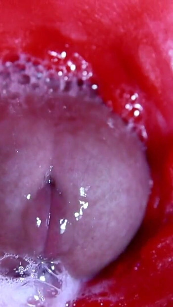 Unforgettable moment from "Hot Wet Sexy Hole And Sloppy Big Cock"