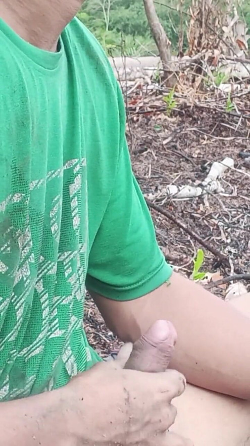 Cock in the palm grove | Clip 1