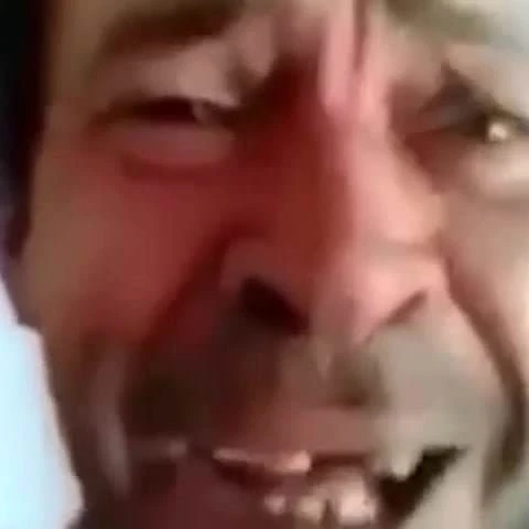 Leilao de brioco