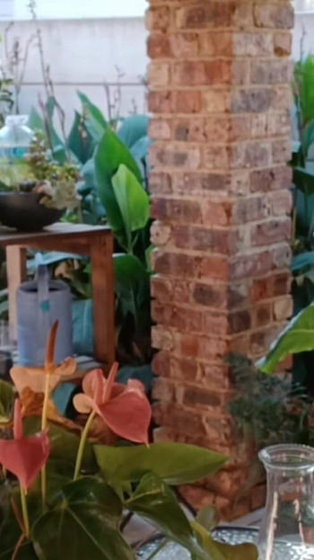 Zabava na otvorenom sa komšijskim cuckold ženom | Klip 1