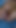 Unforgettable moment from "Eight Months Pregnant Masturbation"