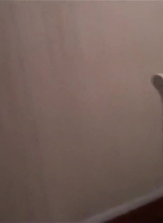 New Looner Clip