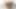 Ebony Cam Girl Gives A BBC Blowjob – XXX CAM VIDIOS