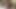 Real couple fucking, BBW sucks cock and gets fucked