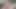 الملاك الآسيوي 25393