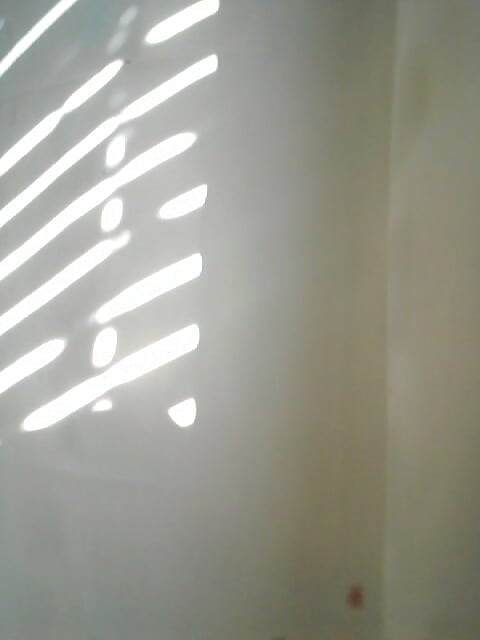 Zadirkivanje pod tušem