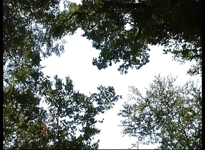 En iyi solo sidikli kız Tamara - mega xxl işiyor