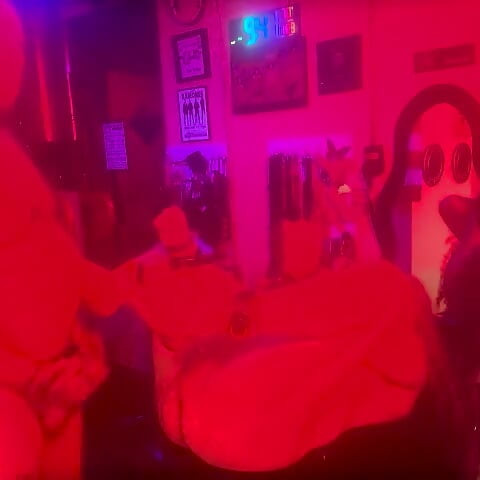 BARONET MONARH BDSM ŠIŠMIŠ DEČKO