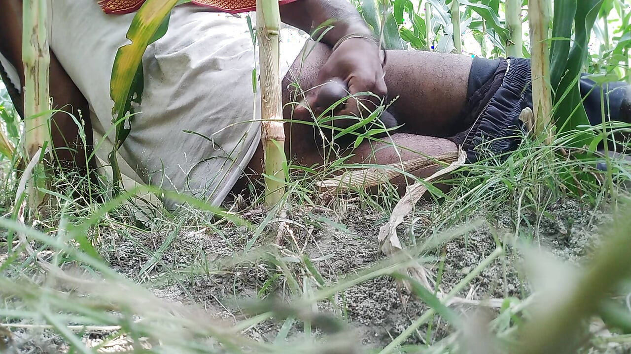 The village boy went to the cornfield and hit him hard