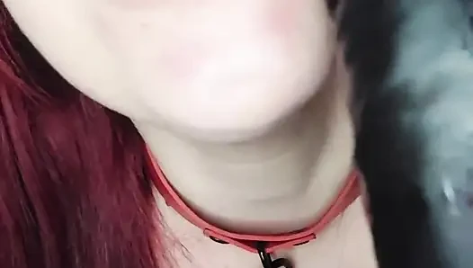 Gauchita Gösterisi! Bir topluluğun en güzelleri için ödüller!