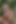 Outdoor Anal Park Dildo Fucking