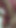 "Hintli desi üniversiteli kızın viral tution odası mms18+"
