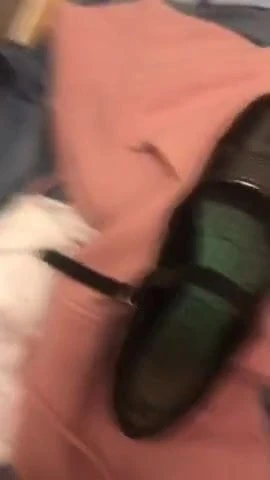 Cumming on ruby james's school shoe