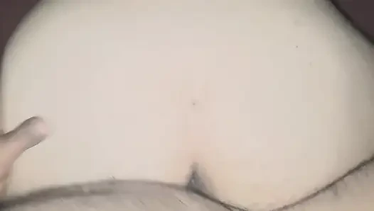 of a puppy