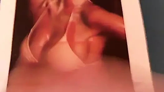 Pampita döl haraç
