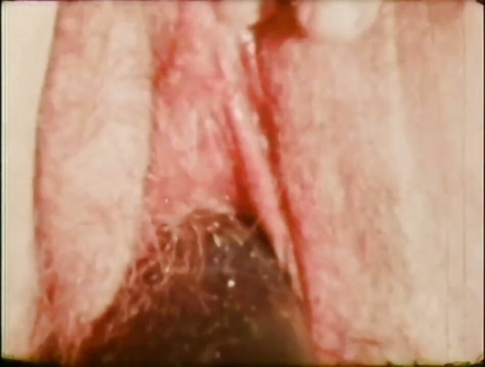 Sweet young vintage girl take a big cock