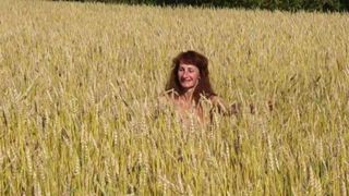 En el campo de trigo dorado