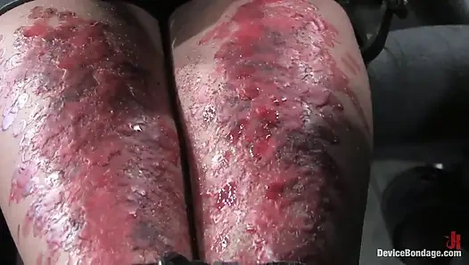 Бонусное обновление: часть 2 новостей Ноя