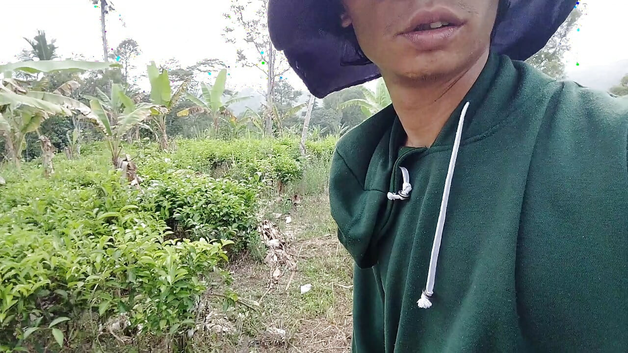 একটা যুবক একা ধানক্ষেতে বাগানে