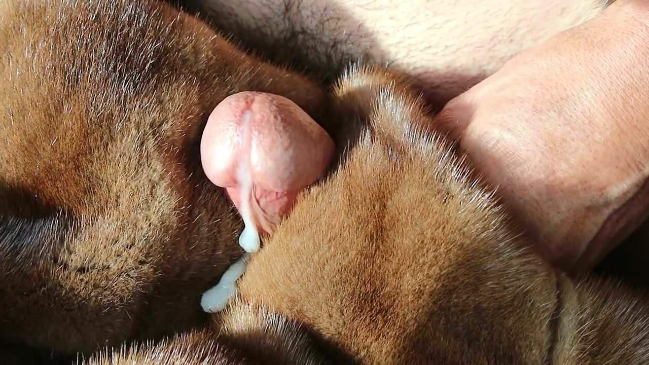 mink fur stroke.mp4
