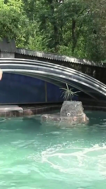 Epic moment from "Zwei heisse Junge Lesben spiele mit sich am Pool und besorgen es sich"