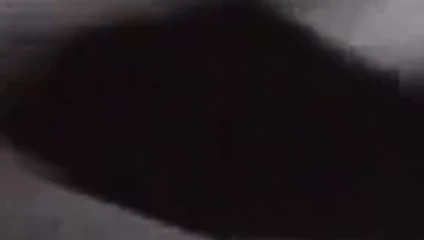 Gölge yarağı